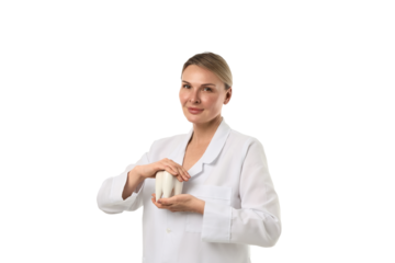 Dentist holds a model tooth while explaining care, isolated on white, PNG