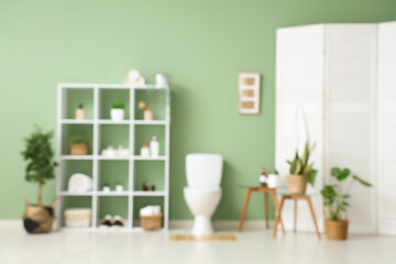 Ceramic toilet bowl with shelving unit, folding screen and plants in restroom