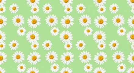 Seamless pattern of white daisies with yellow centers scattered across a light green background, evoking a fresh and cheerful spring or summer day