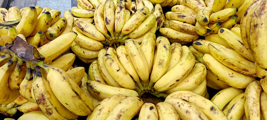 Bunches of Fresh Ripe Bananas at a Local Fruit Market