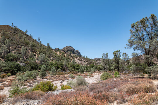 Volcanic Rocks / Dacite - rhyolite. Chalone Creek.Old Pinnacles Trail, Pinnacles National Park, California. Gabilan Range. Pinus sabiniana, towani pine, foothill pine, gray pine, ghost pine - Powered by Adobe