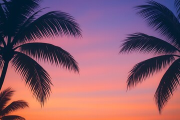 Fototapeta premium Tropical palm silhouette at pastel sunset