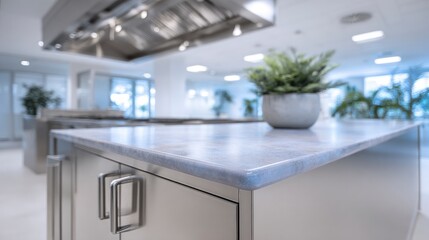 Modern stainless steel kitchen island with polished stone countertop and plant