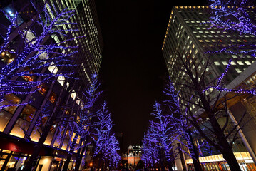 さっぽろホワイトイルミネーション　赤れんが庁舎