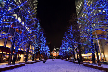 さっぽろホワイトイルミネーション　赤れんが庁舎