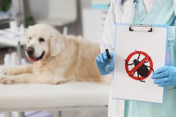 Veterinarian holding clipboard with drawing of stop symbol and tick in clinic