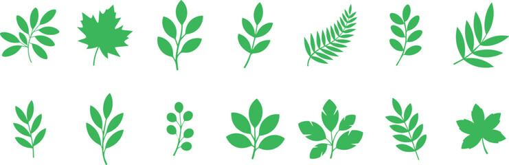 Stylized leaf silhouette design isolated on transparent background
