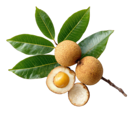 Tropical fruit with leaves