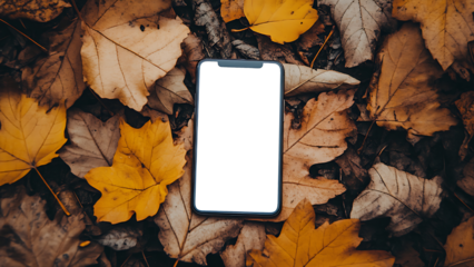 A smartphone sits amidst a field of fallen leaves, its screen transparent.