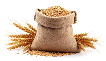 Wheat in burlap sack, wheat stalks (1)