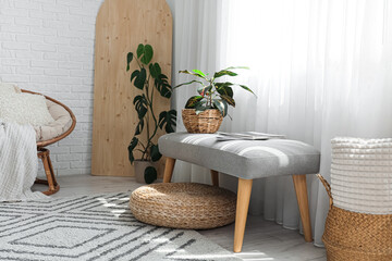 Soft bench with plant and magazines near window in room