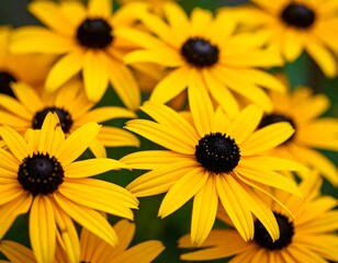 Close-up of vibrant yellow flowers (4)