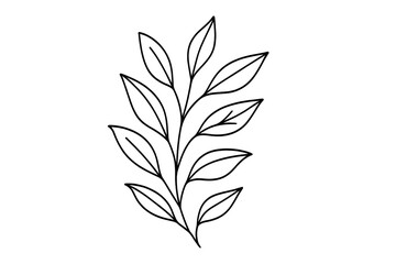 Botanical leaf line illustration for natural designs. Elegant plant branch with foliage. Minimalist floral doodle sketch. Vector outline art isolated on transparent background.