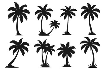 Fototapeta premium Set of black palm tree silhouettes. Tropical exotic island tree. Summer vacation, travel, and nature design elements. Vector logo or icon collection isolated on white.