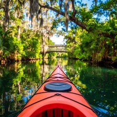 Fototapeta premium Kayaking through a tranquil waterway
