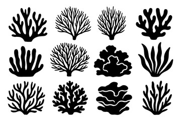 Coral silhouettes set. Marine flora and ocean botanical elements. Diverse coral species and sea reef shapes. Underwater black coral reef vector illustrations collection.