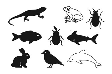 Fototapeta premium Diverse animal collection vector set. Includes lizard, frog, insect, fish, shark, rabbit, bird, dolphin silhouettes and outlines. Simple minimal icons for nature or wildlife.