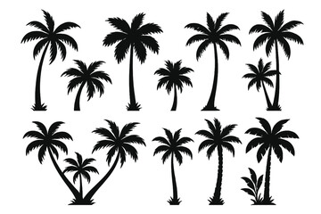 Palm tree silhouettes vector set. Tropical coconut palm trees collection. Summer beach vacation symbol. Exotic nature island graphic element. Isolated black tree logo icons.