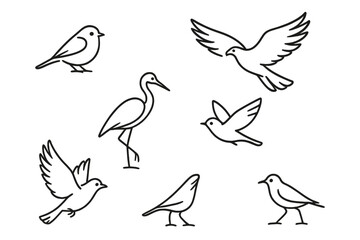 Obraz premium Minimalist bird sketches, various bird species in dynamic flying and standing poses, simple black line vector illustration on transparent background, nature and wildlife theme