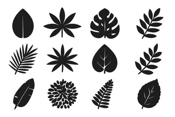 Leaf silhouette icon set. Tropical plant and foliage collection. Vector illustration of jungle leaves like monstera, palm, and fern. Black graphic design elements.