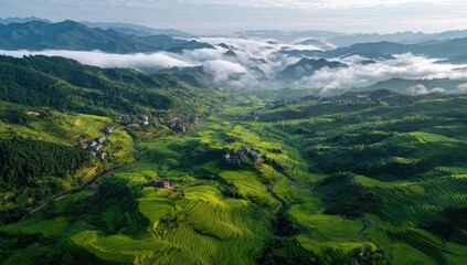 Obraz premium Aerial view of lush green rice terraces nestled in a valley, shrouded in morning mist, with distant mountains under a soft sky