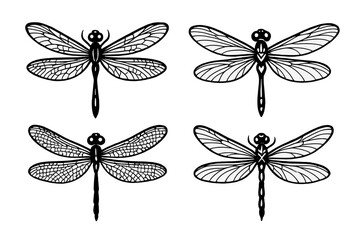 Set of four dragonfly vector illustrations. Black and white insect silhouettes for logos, tattoos, or artistic decorations. Natural line art design elements on white.