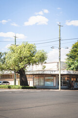Obraz premium A small, weathered building with large windows and a covered patio sits next to a large tree and a telephone pole. A bright blue sky with white clouds is overhead, Roma, QLD, Australia