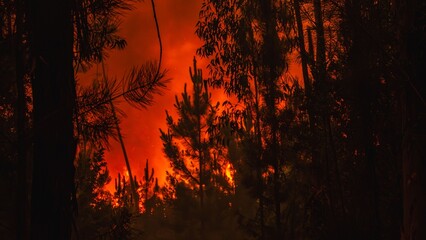 Nighttime forest fire with intense flames in Pedrogao Grande, Portugal, 2017