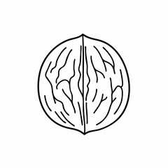 Stylized Walnut Illustration: Symmetrical Shell with Intricate Kernel Details