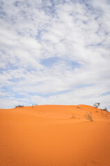Red dune, outside Quilpie, Queensland, Australia