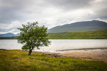 rannoch moor, glencoe, highlands, scottish highlands, bog, moor, scotland, uk, scenic, panorama, 