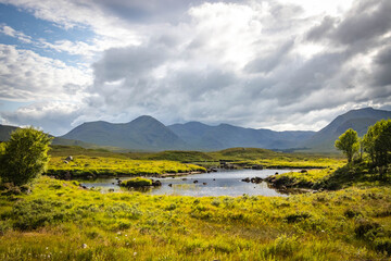 rannoch moor, glencoe, highlands, scottish highlands, bog, moor, scotland, uk, scenic, panorama, reflection