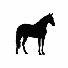 Obraz premium Solid black horse silhouette vector on white background no text