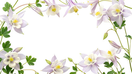 columbine flowers frame isolated on transparent background