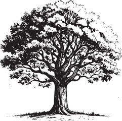 Obraz premium Majestic deciduous tree with sprawling branches and textured bark foliage
