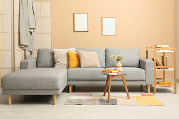 Interior of living room with bookshelf, sofa and table