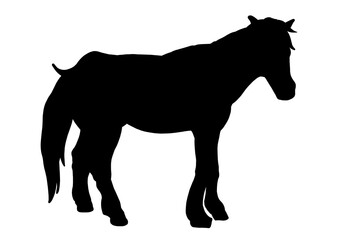 ポニー　シルエット