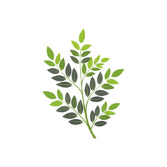 A branch with a cluster of small, detailed leaves, rendered in a realistic, textured style.