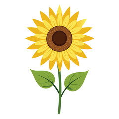Fototapeta premium A single stylized sunflower with bright yellow petals and a brown center on a white background