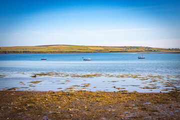 coastline of orkney islands, orkneys, st. margaret's hope, scotland, uk