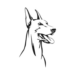 Doberman Pinscher Dog Head Illustration - A Powerful and Elegant Canine Portrait