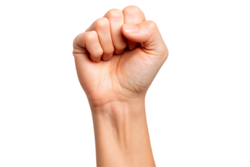 A clenched fist representing strength and determination.