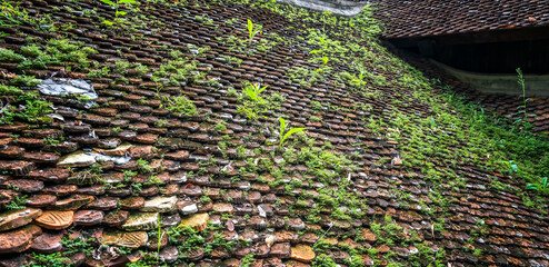 old tiled roof covered with the green moss © huythoai
