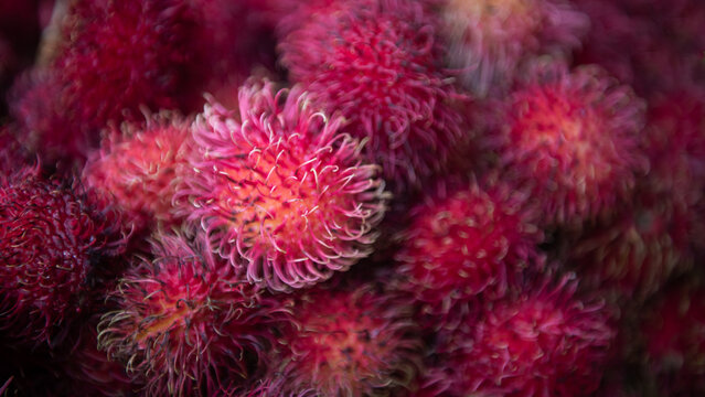 background close up with fresh tropical pink lychees fruit on market in asia 