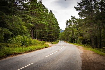 lake and mountains, loch morlich, cairngorms, loch, lake, scotland, beach, highlands, scotland, uk, heather
