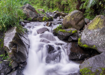 River stream with smooth, silky water and vibrant green plants captured with a slow shutter speed...