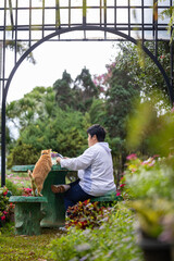 Asian woman having tea in the outdoor summer garden with her lovely cute orange ginger cat for pet owner and animal companion happiness usage