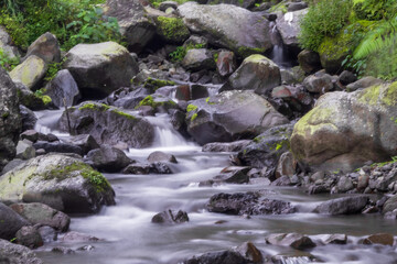 River stream with smooth, silky water and vibrant green plants captured with a slow shutter speed...