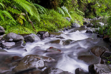 River stream with smooth, silky water and vibrant green plants captured with a slow shutter speed...
