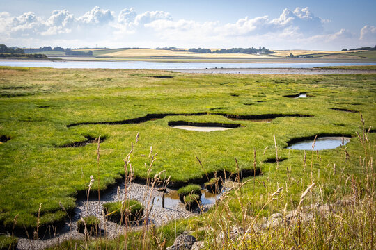 forvie national nature reserve, forvie, dunes, estuary, ythan estuary, boats, coastline, scotland, uk, europe, 